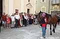 VBS_0625 - Palio di Asti 2024 - Raduno 500 - Corteo Storico - Santa Messa e benedizione del Cavallo e del Fantino